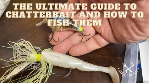 what is chaterbait|What is a Chatterbait: The Ultimate Guide for Anglers